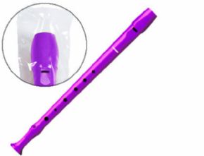 Flauta hohner 9508 color violeta funda verde y transparente.
