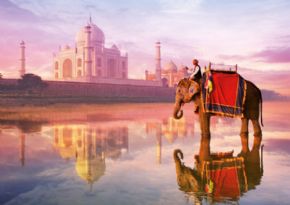 Puzzle Educa Elefante en el Taj Mahal 16756 (1000 Piezas)