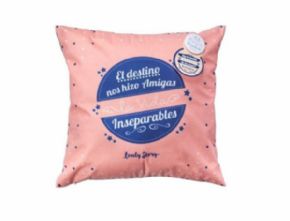 COJIN CON MENSAJE DECORADO A DOBLE CARAEL DESTINO NOS HIZO AMIGAS LA