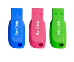 PEN DRIVE PACK 3 SANDISK,CANON DIGITAL DE 0,29